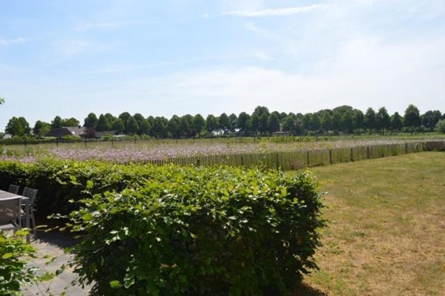 Residentie De Hoek Den Dungen エクステリア 写真