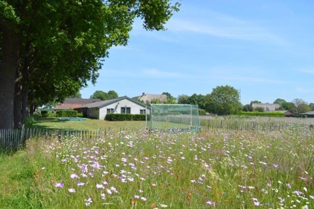 Residentie De Hoek Den Dungen エクステリア 写真