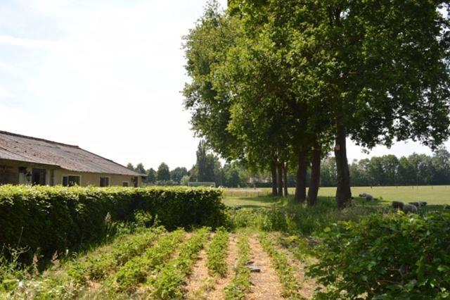 Residentie De Hoek Den Dungen エクステリア 写真