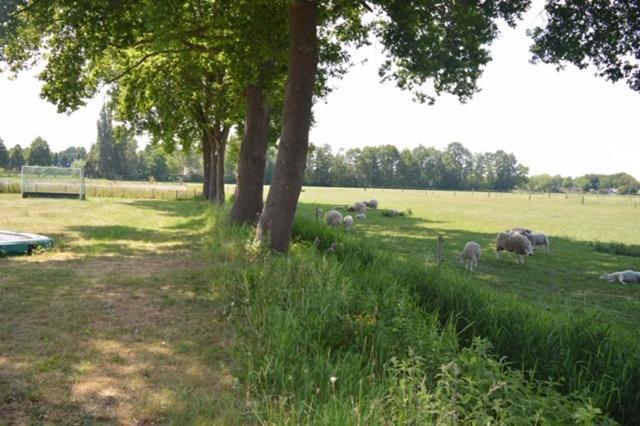Residentie De Hoek Den Dungen エクステリア 写真